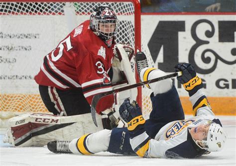 Guelph Storm Goalie At Centre Of Crazy Hockey Oddity Guelph News