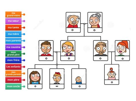 L Arbre G N Alogique De Ma Famille Labelled Diagram