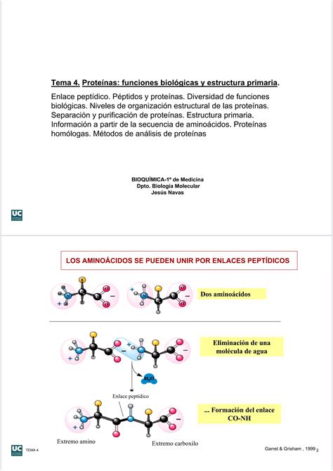 Proteínas Funciones Y Estructura Primaria Pdf