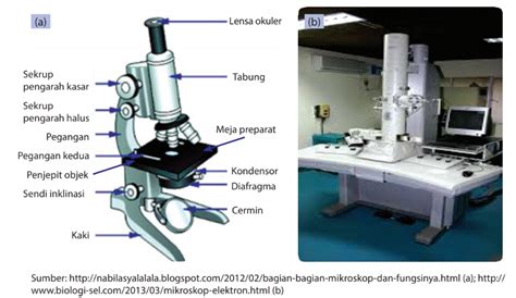 Fungsi masing-masing bagian mikroskop dan Cara Menggunakannya: