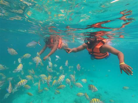 Punta Cana Speed Boat & Snorkeling Tour - Self-Drive 2-Hour Trip