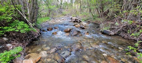 Creek Schock Ranch On The North Fork Montana Fay Ranches