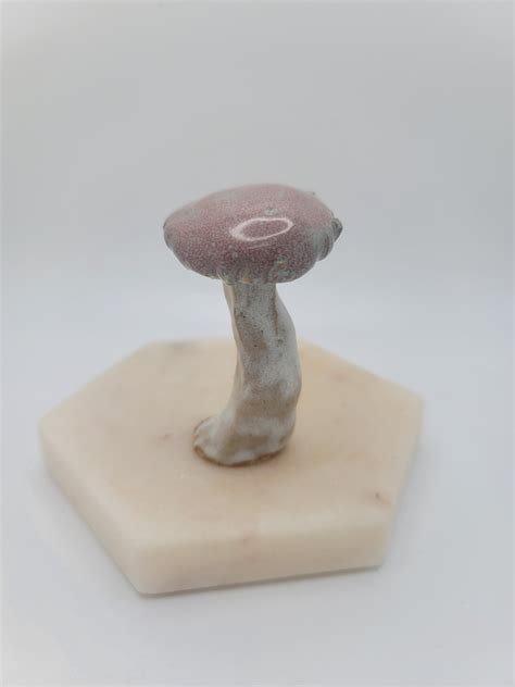 Mushroom Figurine Ceramic Figure Mushroom Cottagecore Knick Knacks