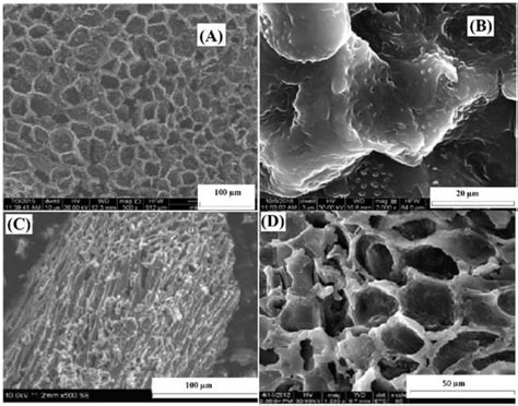 Molecules Free Full Text Efficient Removal Of Hexavalent Chromium