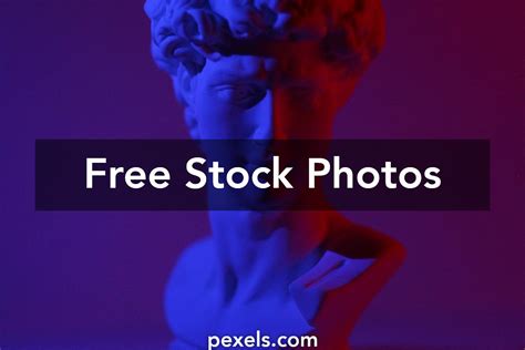 9000 Best Bronze Statue Photos · 100 Free Download · Pexels Stock Photos