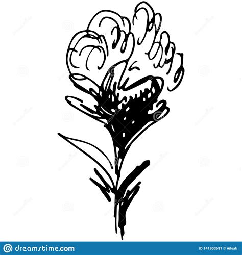 Ejemplos Exhaustos Grabados De La Mano Del Vector De Las Flores Abstractas Aisladas En Blanco