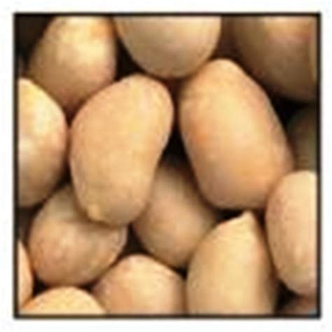 Fisher Jumbo Dry Roasted Peanuts No Salt 40 Pounds Pack