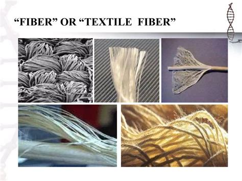 Types Of Textile Fiber Ppt