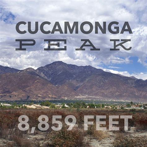 Hiking Cucamonga Peak Via Icehouse Canyon Socalhiker