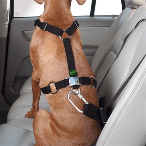 Hunter Easy Comfort Dog Car Harness