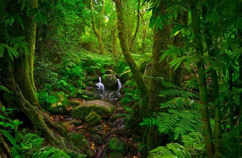 Meghalaya: Plunging into the state’s rainy reputation