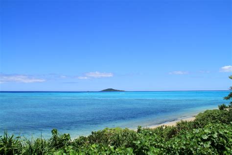 シマアシビ＜大神島＞今昔おもひで徒然と よみもの 沖縄clip｜あなたの沖縄旅を豊かにする体験予約サイト・観光情報メディア