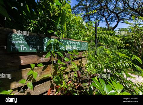 Entrance To A Small Community Garden In Singapore Stock Photo Alamy