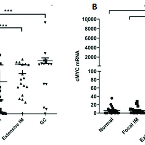 Expression Levels Of Transcription Factors A Cdx2 And B C Myc In