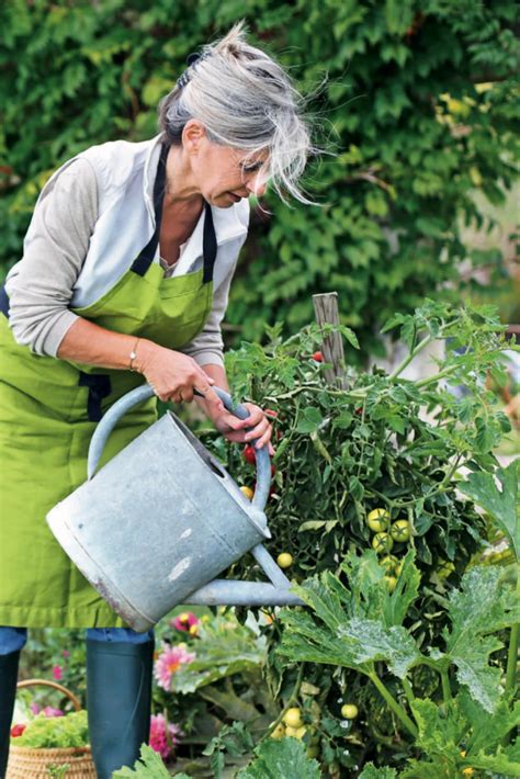 Cultiver son potager 3 conseils pour faire pousser ses fruits et légumes