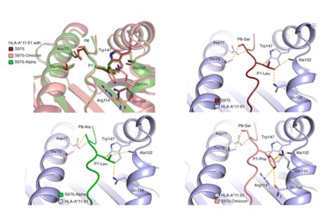 New paper in Current Research in Structural Biology | News | Baker Lab ...