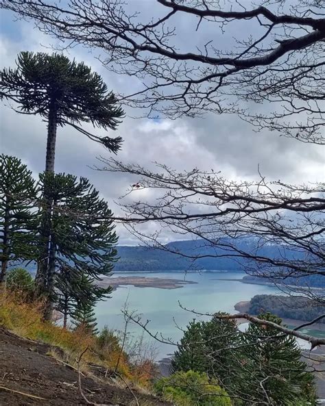 Conguillio National Park Best Places To Visit And Travel Tips