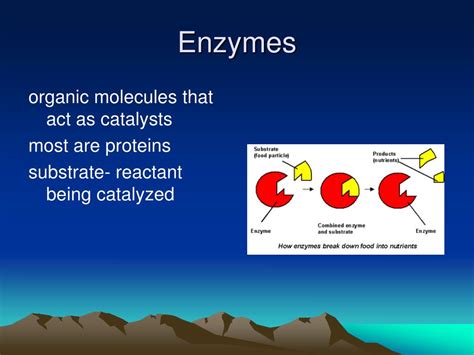 Ppt Biochemistry Powerpoint Presentation Free Download Id5746132