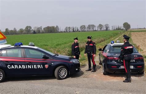 Spaccio Nelle Campagna Pavesi Arrestati Tre Marocchini