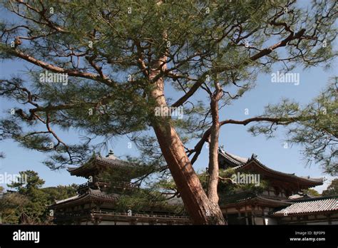 The Phoenix Hall At The Byodoin Temple In Uji Near Kyoto Japan The