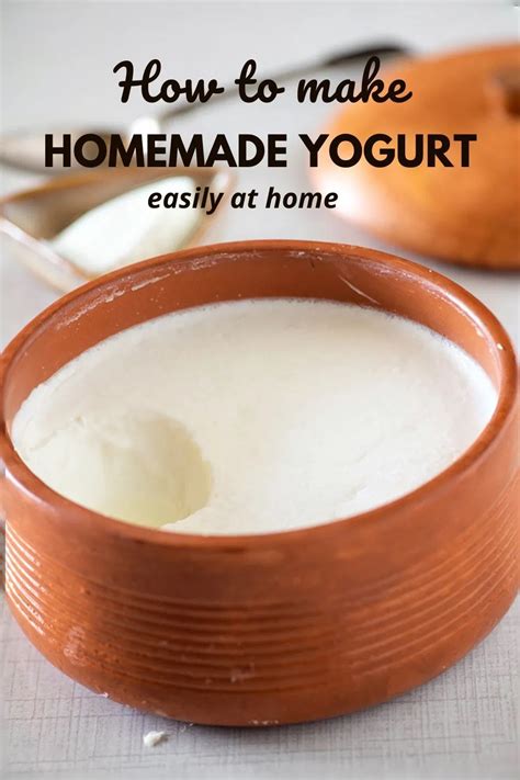 How To Make Curd Or Dahi Or Yogurt With This Yogurt Recipe You Can