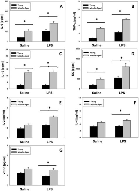 Young N 16 And Middle Aged Mice N 16 Were Injected With Saline