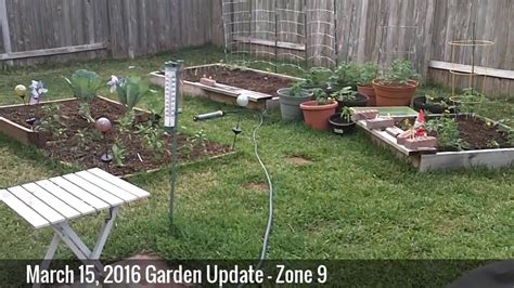 March Garden Update Zone Youtube