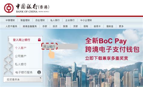 Hong Kong Insurance Payment Bochk Online Banking Activation Guide And