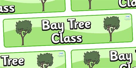 Free Bay Tree Themed Classroom Display Banner Twinkl