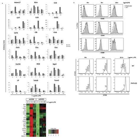 Phf Promotes The Lps Induced Of T Cell Activation And Proliferation By