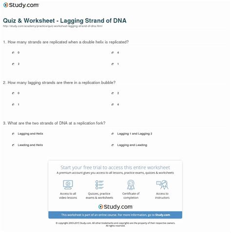 50 Dna Base Pairing Worksheet Answers