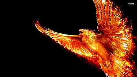 Phoenix Wallpapers HD - Wallpaper Cave