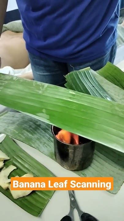 Banana Leaf Scanning Hilot Wellness Massage Ncll By Jim Street Wellness Spa Youtube