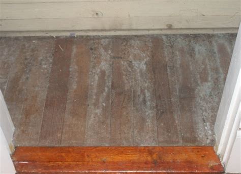 How To Remove Mold From Under Hardwood Floors Floor Roma