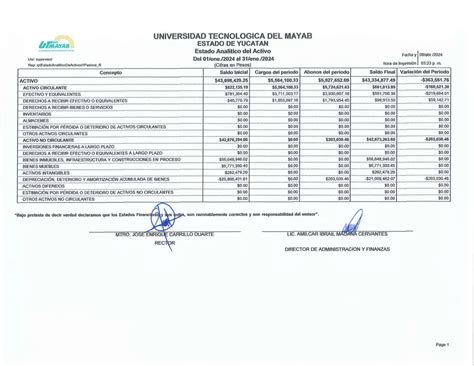 Estado Analitico Del Activo Pdf Google Drive