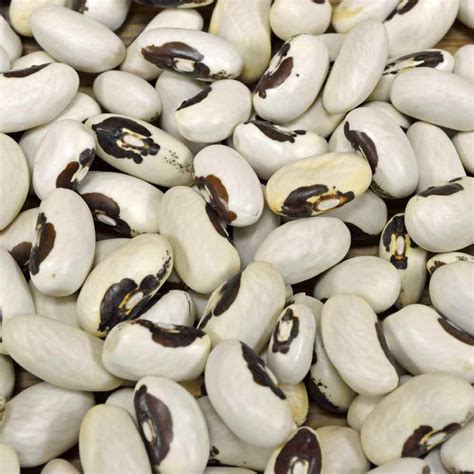 Golden Wax Bean Seeds Terroir Seeds