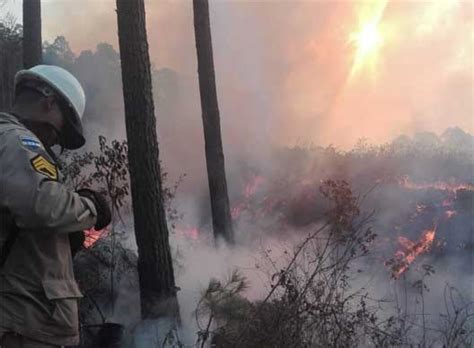 Incendios Consumen Más De 16 Mil 600 Hectáreas De Bosques En Honduras