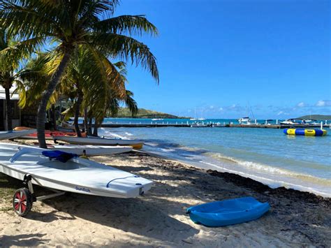 2021 ST CROIX SNORKELING GUIDE: 5 Top Sites Worth Jumping Into the Water