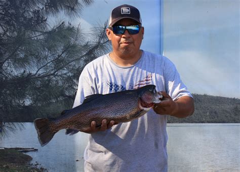 Collins Lake Fall Planting Gives Trout A Boost