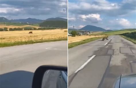 VIDEO Medzi turčianskymi obcami bicyklujú len odvážni Po cestách tam