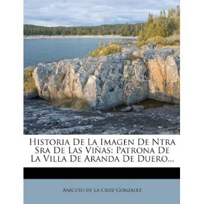 Libro Historia De La Imagen De Ntra Sra De Las Vi As Patrona De La