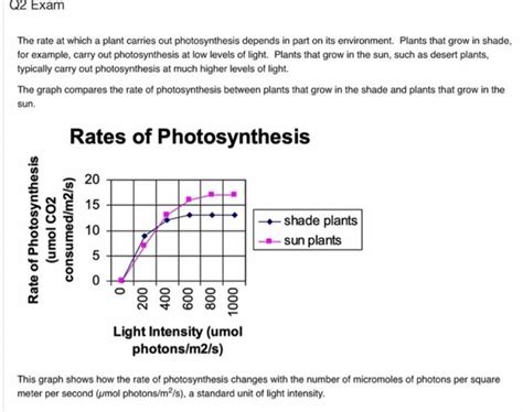 Solved The Rate At Which A Plant Carries Out Photosynthesis Chegg