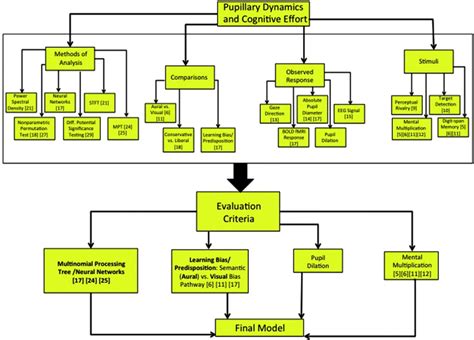 A Summary Diagram Of The Literature Review Is Shown A Wide Variety Of Download Scientific