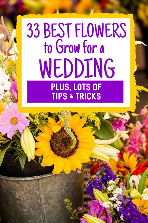 Homegrown Wedding Flowers Tips Ideas Gingham Gardens Grow Your