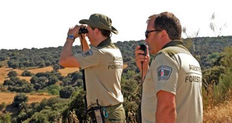 Oposiciones Agente Forestal Requisitos Y Sueldo CursosMasters