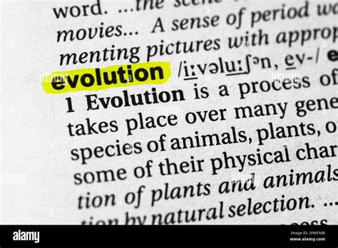 Highlighted Word Evolution Concept And Meaning Stock Photo Alamy