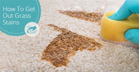 5 Ways To Rescue Your Favorite Shirt From The Great Outdoors