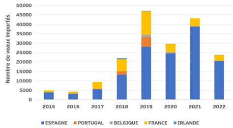 Viande Bovine L Espagne Premier Fournisseur Du Maroc En Jeunes Bovins