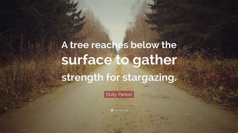 Dolly Parton Quote A Tree Reaches Below The Surface To Gather