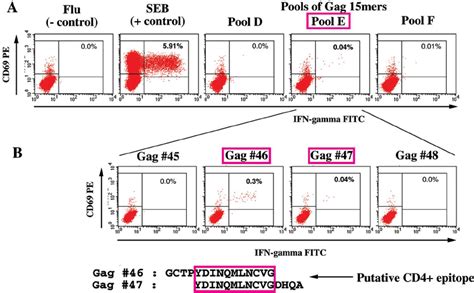 Example Of Cd4 ϩ T Cell Epitope Mapping In An Animal After The Rmva